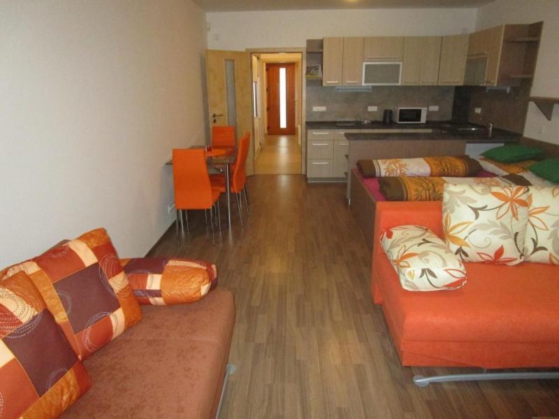 Apartman Ricky V Orlickych Horach Wüstenei Екстериор снимка