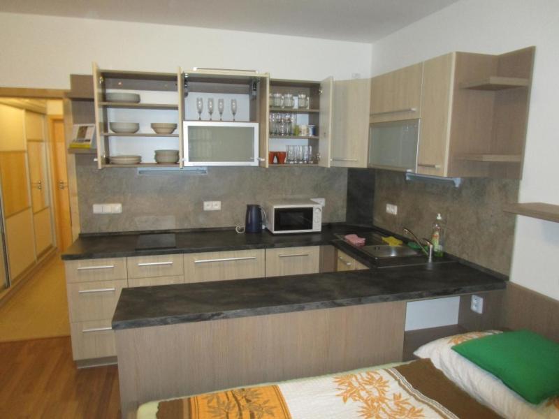 Apartman Ricky V Orlickych Horach Wüstenei Екстериор снимка