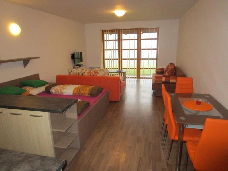 Apartman Ricky V Orlickych Horach Wüstenei Екстериор снимка